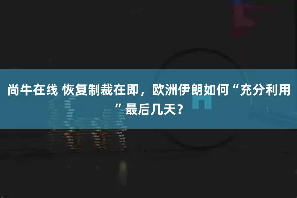 尚牛在线 恢复制裁在即，欧洲伊朗如何“充分利用”最后几天？