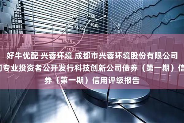 好牛优配 兴蓉环境 成都市兴蓉环境股份有限公司2025年面向专业投资者公开发行科技创新公司债券（第一期）信用评级报告